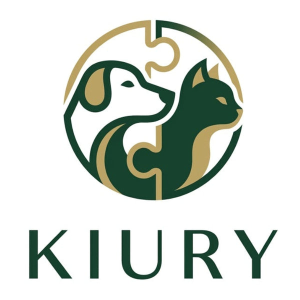 Kiury Store